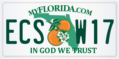 FL license plate ECSW17