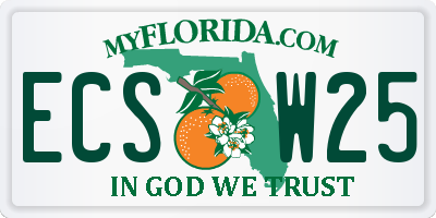 FL license plate ECSW25