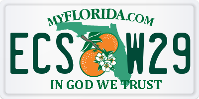 FL license plate ECSW29