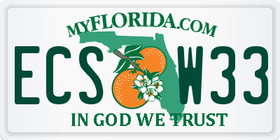 FL license plate ECSW33