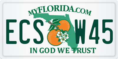 FL license plate ECSW45