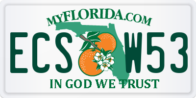 FL license plate ECSW53