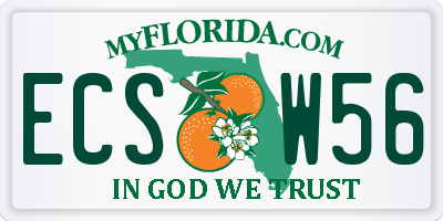 FL license plate ECSW56
