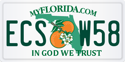 FL license plate ECSW58