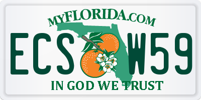 FL license plate ECSW59
