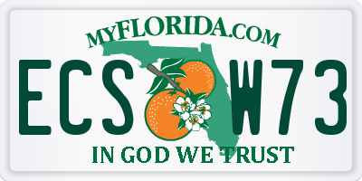 FL license plate ECSW73