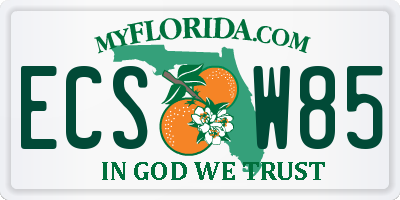FL license plate ECSW85