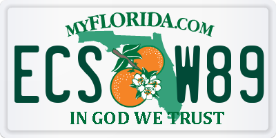 FL license plate ECSW89