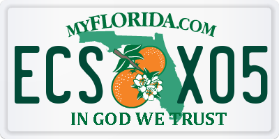 FL license plate ECSX05