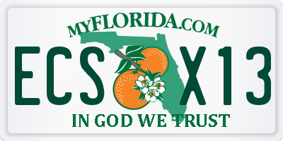 FL license plate ECSX13