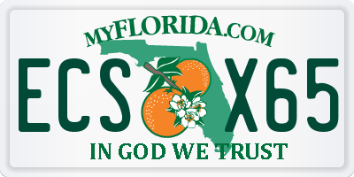FL license plate ECSX65