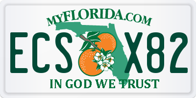 FL license plate ECSX82