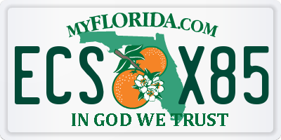 FL license plate ECSX85