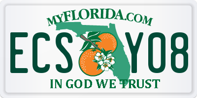 FL license plate ECSY08