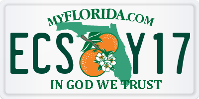 FL license plate ECSY17