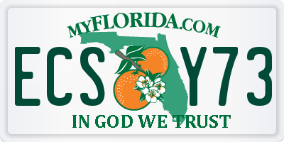 FL license plate ECSY73