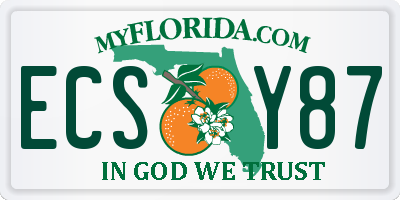 FL license plate ECSY87