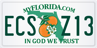 FL license plate ECSZ13