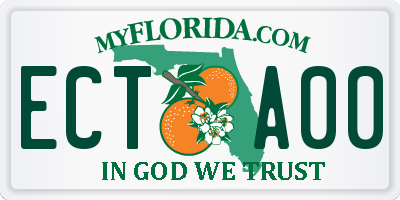 FL license plate ECTA00