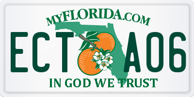 FL license plate ECTA06