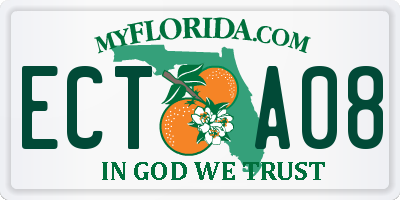 FL license plate ECTA08