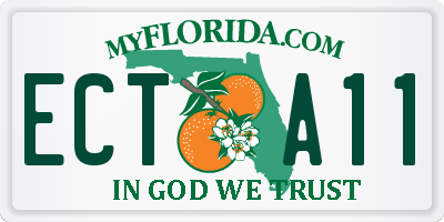 FL license plate ECTA11