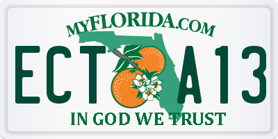 FL license plate ECTA13