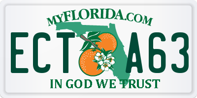 FL license plate ECTA63