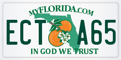 FL license plate ECTA65