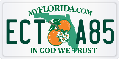 FL license plate ECTA85