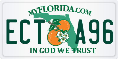 FL license plate ECTA96