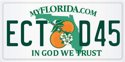 FL license plate ECTD45