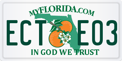 FL license plate ECTE03