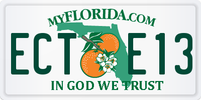 FL license plate ECTE13