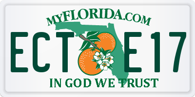FL license plate ECTE17