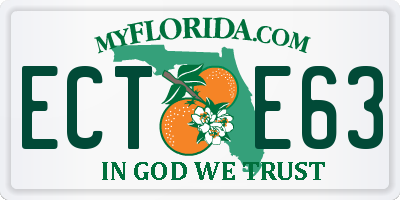 FL license plate ECTE63