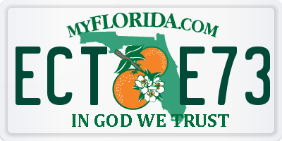 FL license plate ECTE73