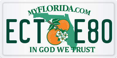 FL license plate ECTE80