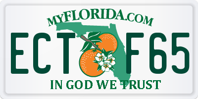 FL license plate ECTF65