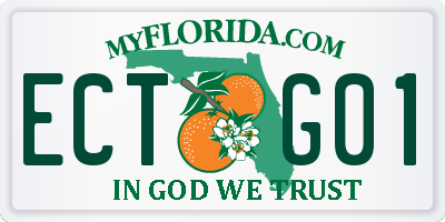 FL license plate ECTG01
