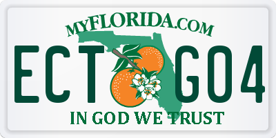 FL license plate ECTG04
