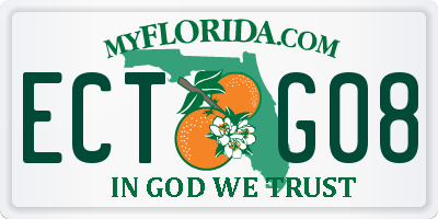 FL license plate ECTG08