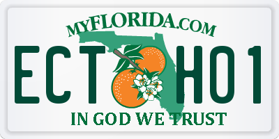 FL license plate ECTH01