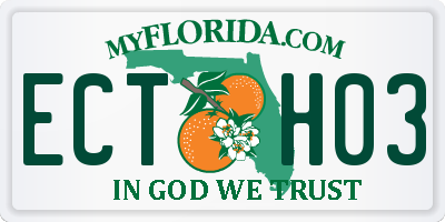 FL license plate ECTH03