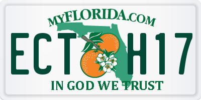 FL license plate ECTH17