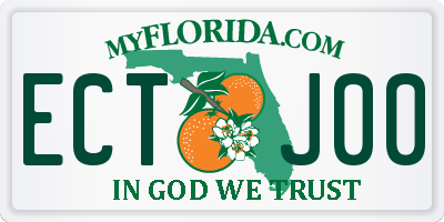 FL license plate ECTJ00