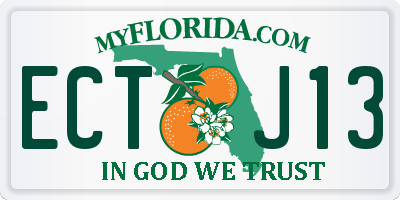 FL license plate ECTJ13