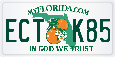 FL license plate ECTK85