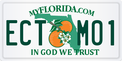 FL license plate ECTM01