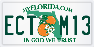 FL license plate ECTM13